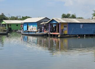 Así es vivir sobre el agua: el alma de los pueblos palafitos en la Ciénaga Grande de Santa Marta