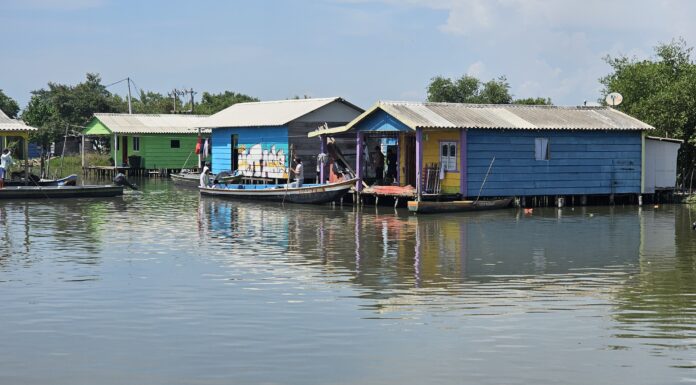 Así es vivir sobre el agua: el alma de los pueblos palafitos en la Ciénaga Grande de Santa Marta