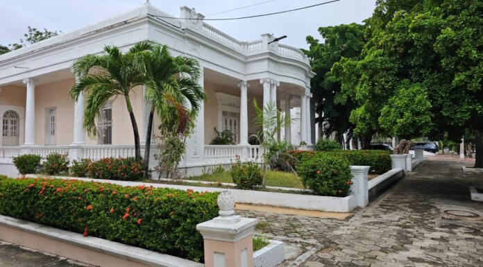 🏛️ Un paseo por la carrera 58 de Barranquilla | 🏘️ Historia viva del barrio El Prado 🎨🇨🇴
