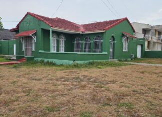 🌳🚶♂️Un paseo por Bellavista: historia, árboles y arquitectura Art Decó viva