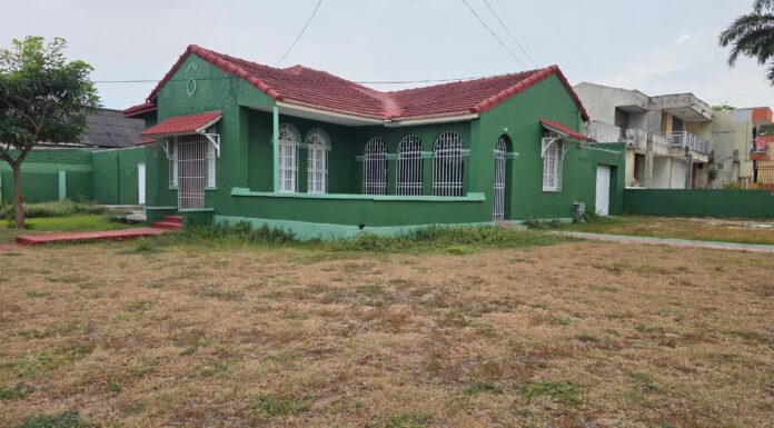 🌳🚶♂️Un paseo por Bellavista: historia, árboles y arquitectura Art Decó viva