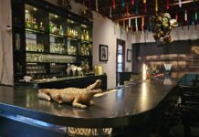 📚🍷 La Cueva: un rincón mágico donde se bebió, se soñó y se escribió parte de la historia de Barranquilla