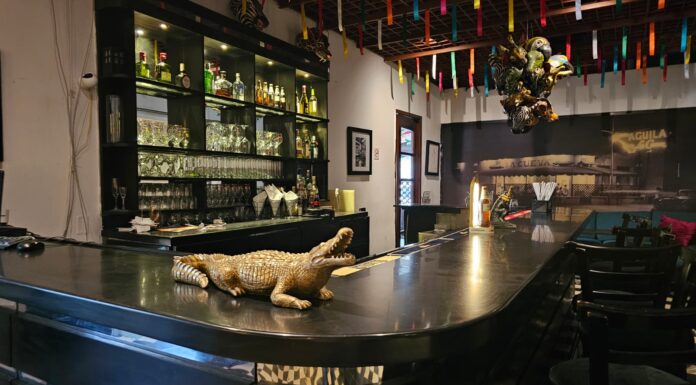 📚🍷 La Cueva: un rincón mágico donde se bebió, se soñó y se escribió parte de la historia de Barranquilla