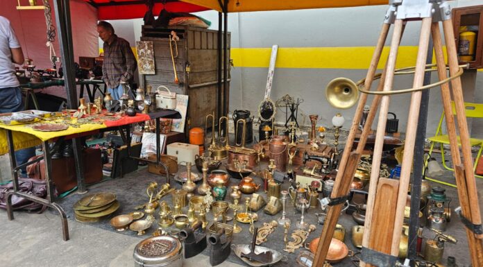 🧳 Una joya escondida en Bogotá: el Mercado de Pulgas de San Alejo