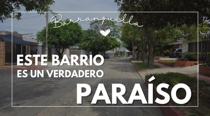 🌴 Un paseo por el Paraíso: historias y colores de un barrio que vive en el corazón de Barranquilla