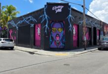 🎨 Winwood: el barrio donde el arte se toma las calles de Miami 🌈✨