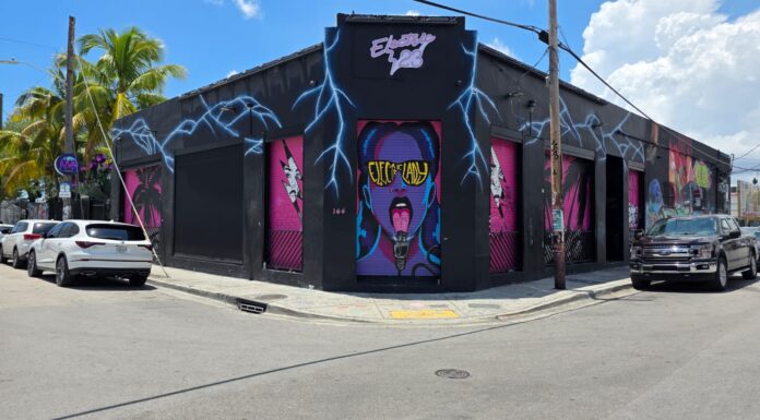 🎨 Winwood: el barrio donde el arte se toma las calles de Miami 🌈✨